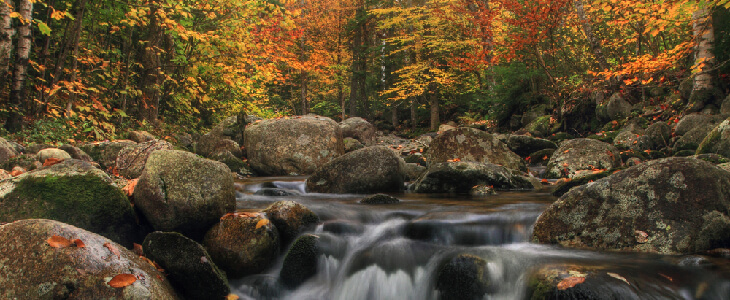 huge rocks forming a waterfall with red orange and yellow trees commercial collections